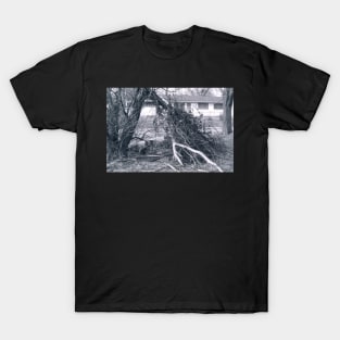 Hideout T-Shirt